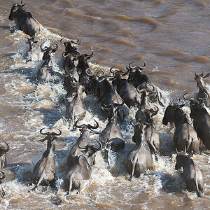 tanzania crossing2 nff 007