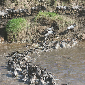 tanzania crossing2 nff 009