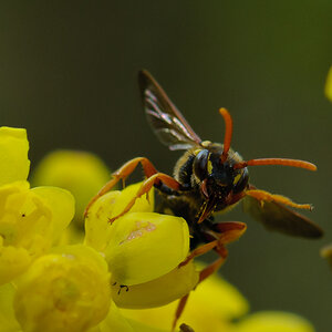 120422 unbenannt 057