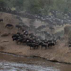 tanzania crossing3 nff 000