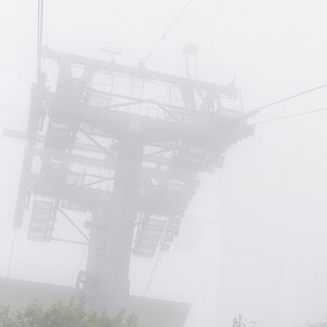 DSC2652