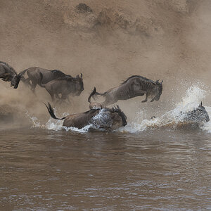 tanzania crossing3 nff 004