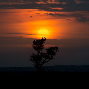 tanzania nord nff 002