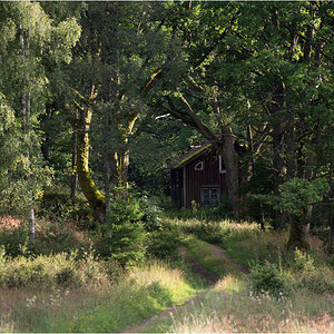 haus im wald9