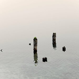 20120706 063833 v2