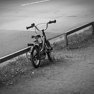 s w DSC 3478