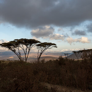 tanzania ngoro nff 001