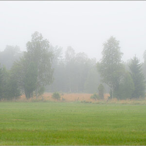 nebel