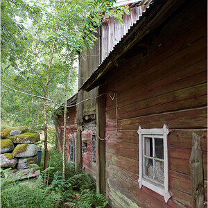 haus im wald4