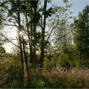 abendsonne