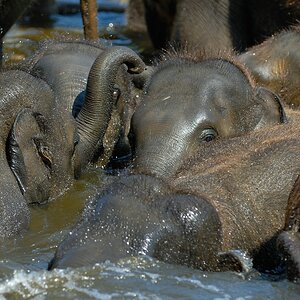 zoo DSC 3762