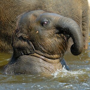 zoo DSC 3784