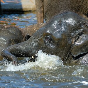zoo DSC 3796