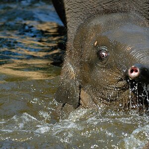 zoo DSC 3798