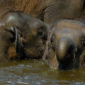 zoo DSC 3802