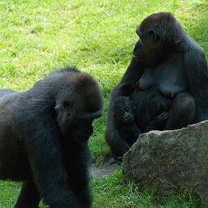 zoo DSC 3938