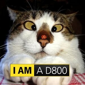 I AM D800