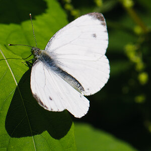 120722 unbenannt 068