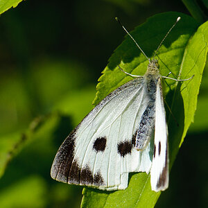 120722 unbenannt 048