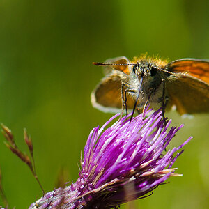 120722 unbenannt 053
