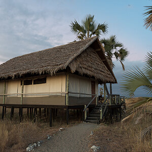 tanzania tarangire nff 003