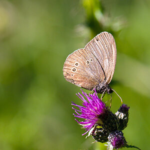 120722 unbenannt 064