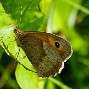 120722 unbenannt 083