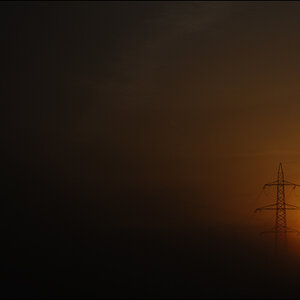 MorgenDSC 2295