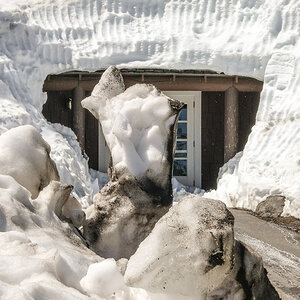 schneegesicht 1 3