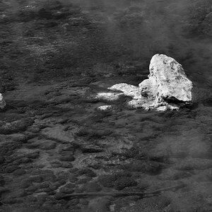 DSC 1052 sw NF-F
Artists Paintpots
