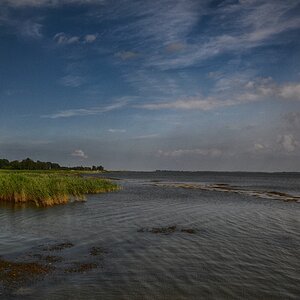 Am Saaler Bodden