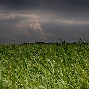 Bodden