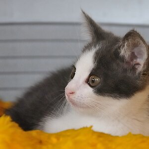 2012 07 22 5979  D300sA