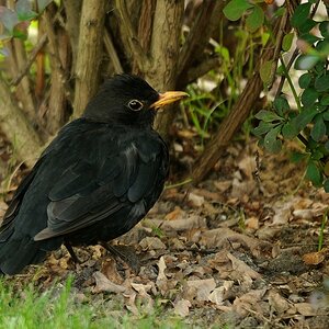 DSC4020