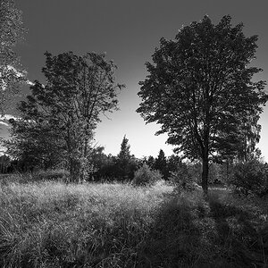 sw natur2