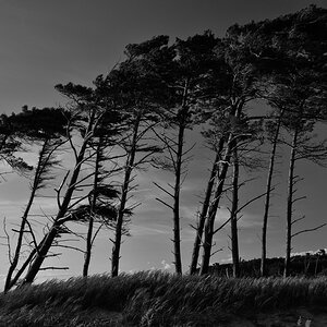 Weststrand