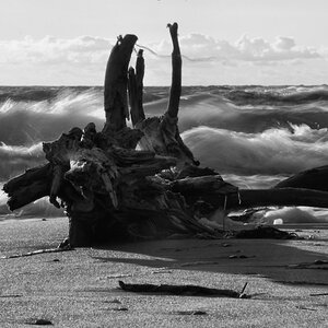 Weststrand