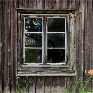 fenster mit blümchen