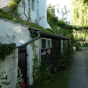 useDSC 1229