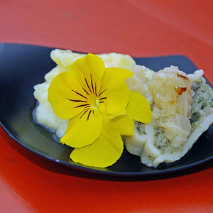 Food  01