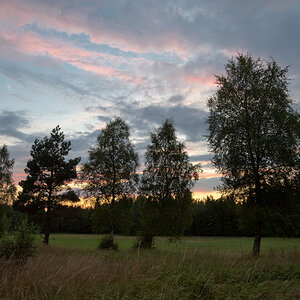 abendlicht3