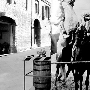 Palio  D7K3228