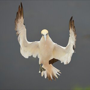 aaacomp Helgoland 20120629 0037