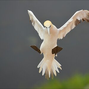 aaacomp Helgoland 20120629 0038