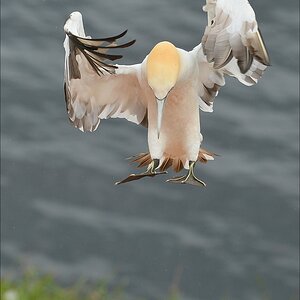 aaacomp Helgoland 20120629 2336