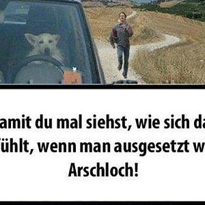 arschloch