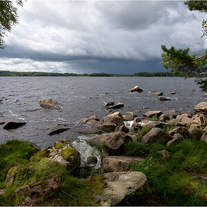 steinsee1