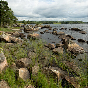 steinsee9