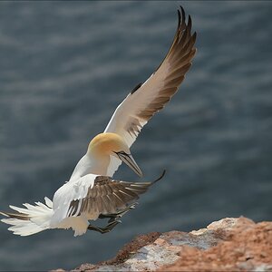 aaacomp Helgoland 20120629 2520