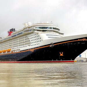 disney dream 2 klein